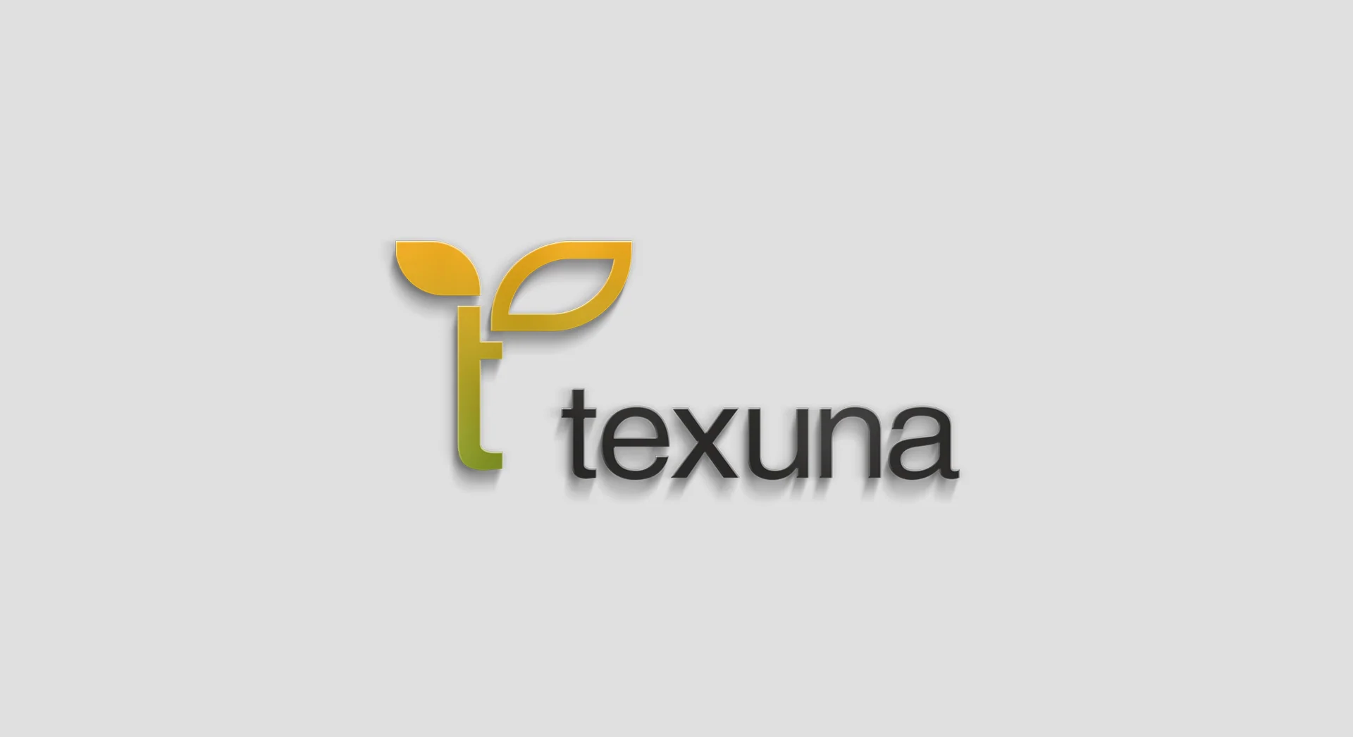 Объёмный логотип Texuna на сером фоне