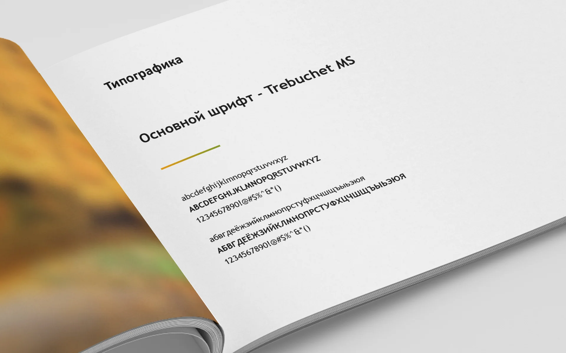 Страница брендбука Texuna со шрифтом Trebuchet MS