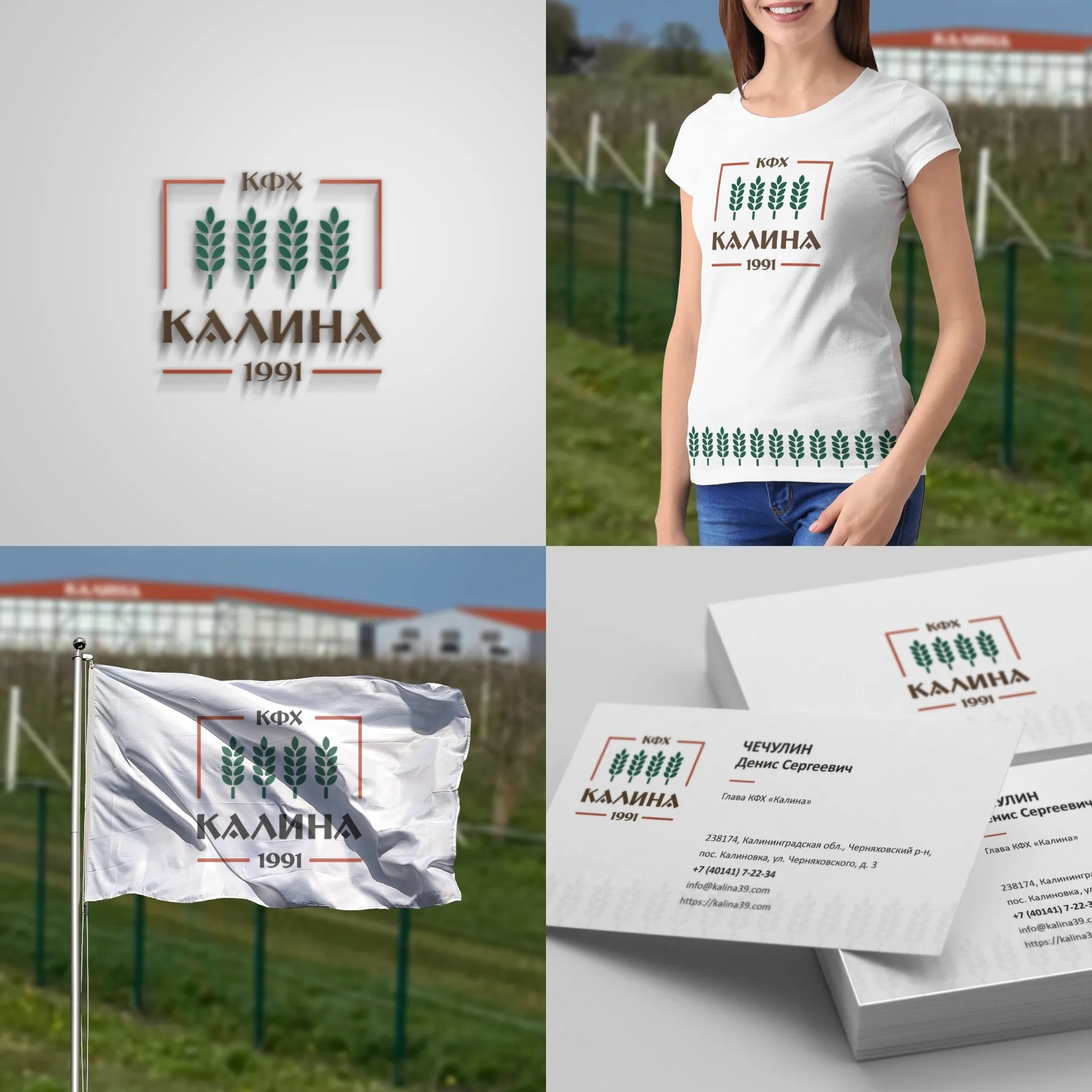 Логотип КФХ «Калина» на бумаге, футболке, флаге и визитках